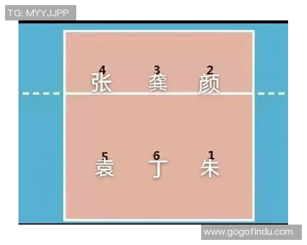 深圳排球队与广州排球队赛后战术分析与复盘探讨