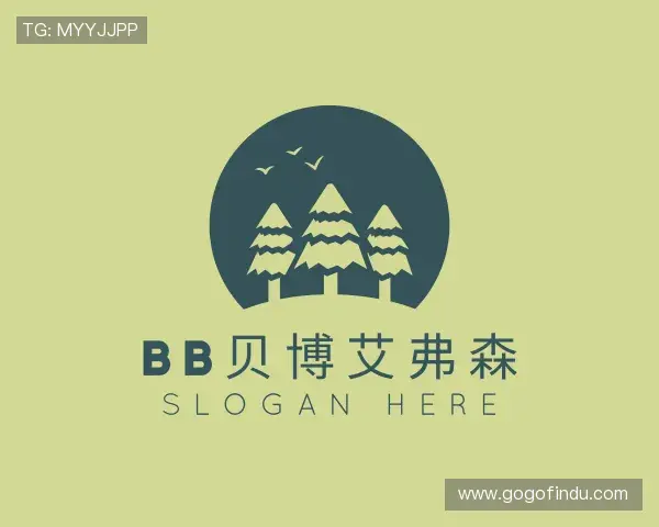 介绍BB贝博艾弗森